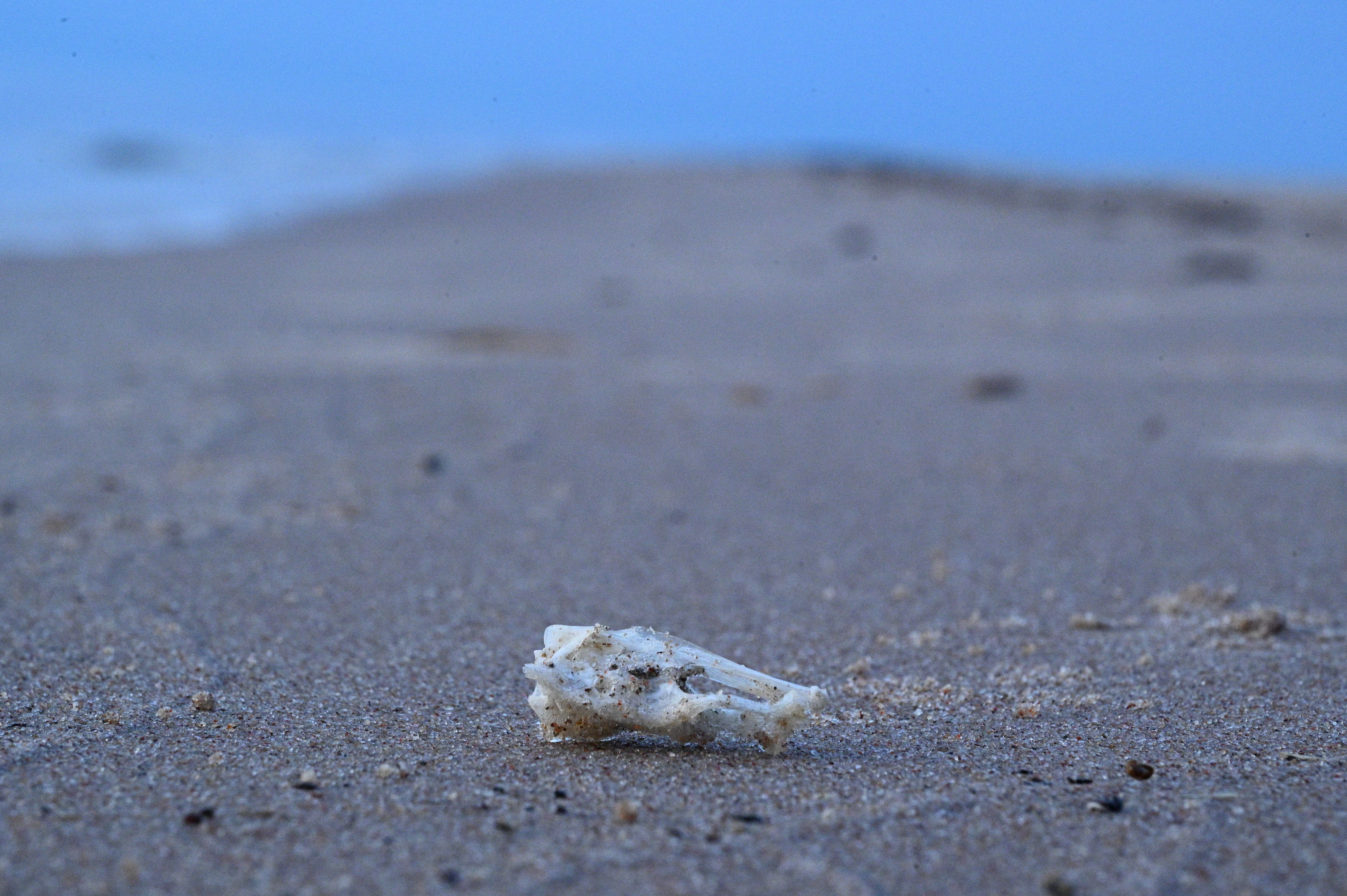 2025/07/09-14 - trip/DSC_0640.JPG